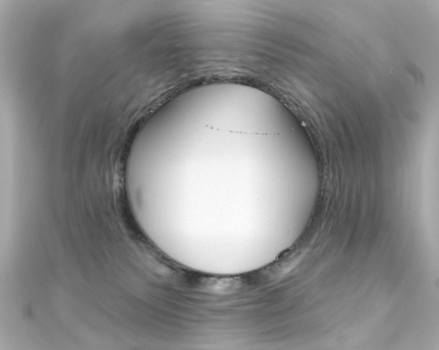 X0000111590135200907161201