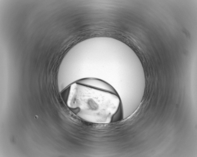 X0000111590136200907161201