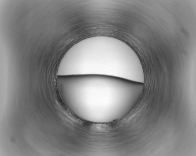 X0000111590137200907161201