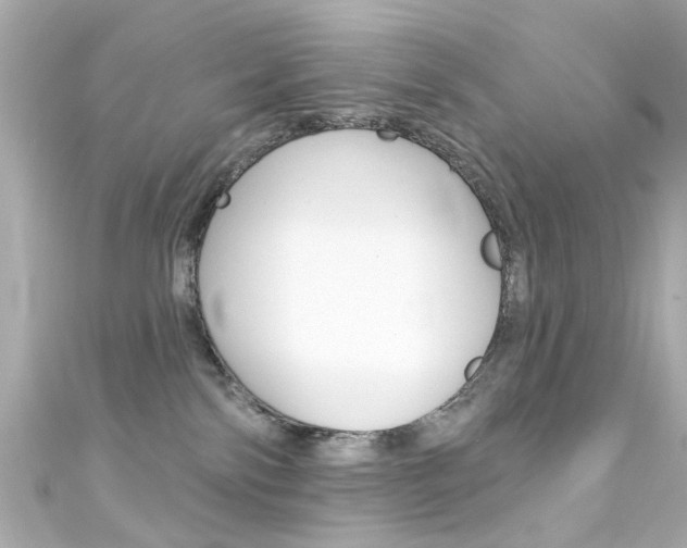 X0000111590138200907161201