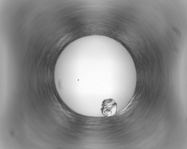 X0000111590140200907161201