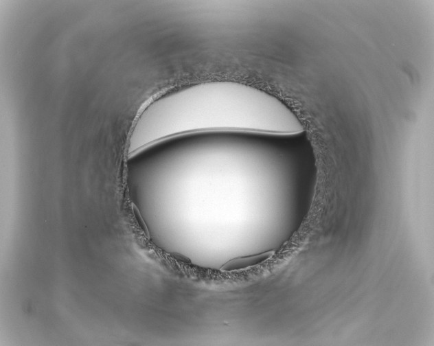 X0000111590144200907161201