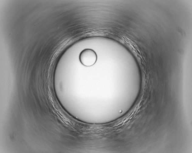 X0000111590145200907161200