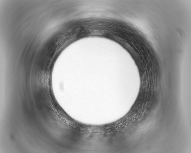 X0000111590146200907161200