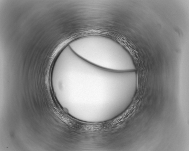 X0000111590147200907161200