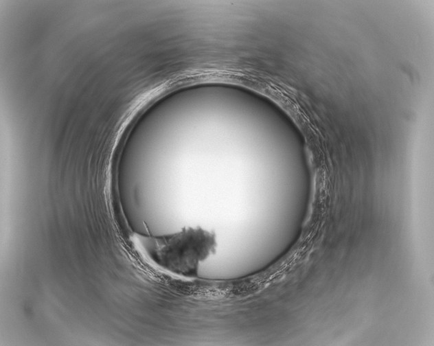 X0000111590148200907161200