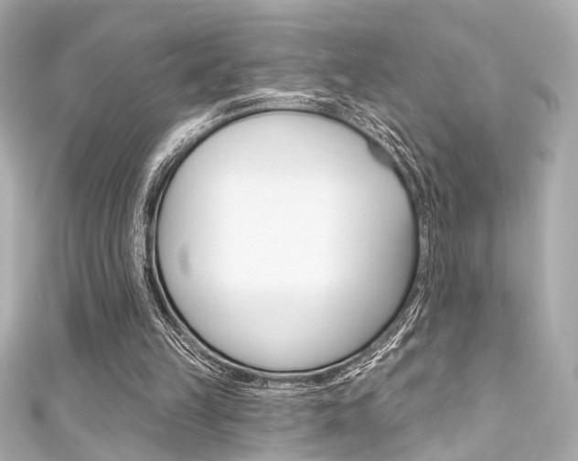 X0000111590149200907161200