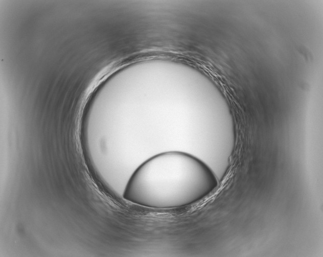 X0000111590150200907161200