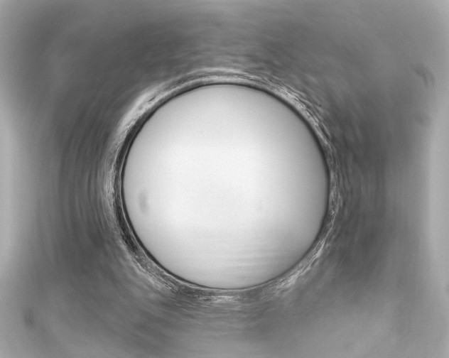 X0000111590151200907161200