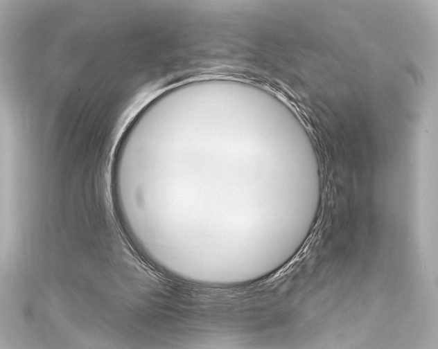 X0000111590152200907161200