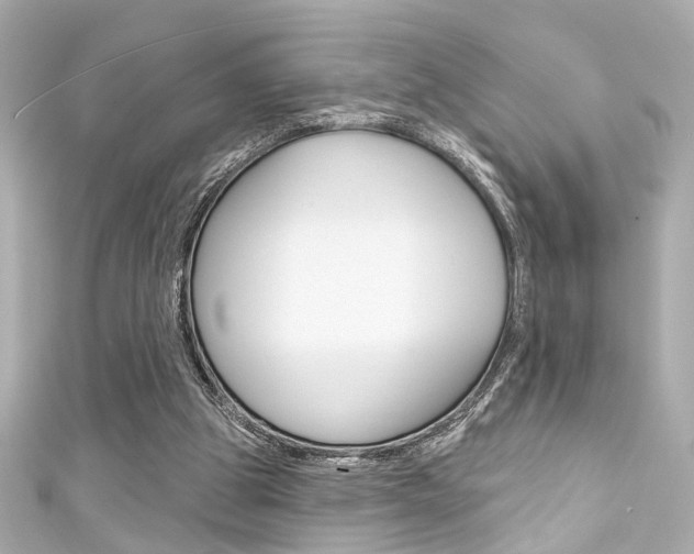 X0000111590153200907161200