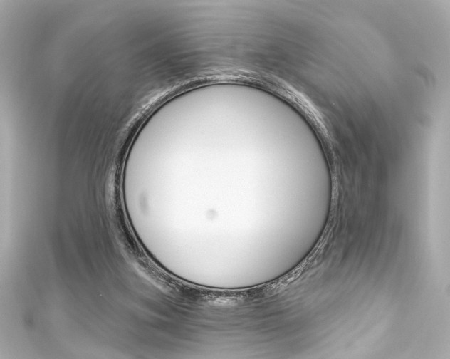 X0000111590155200907161200