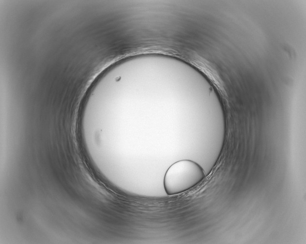 X0000111590156200907161200