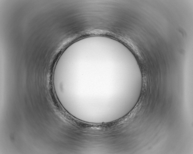 X0000111590159200907161200