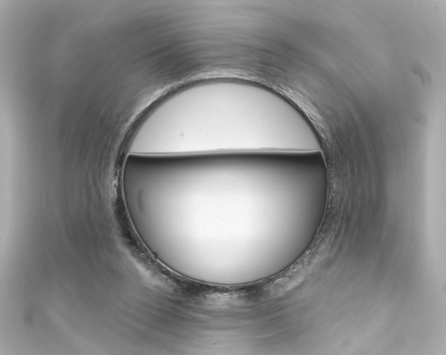 X0000111590160200907161200