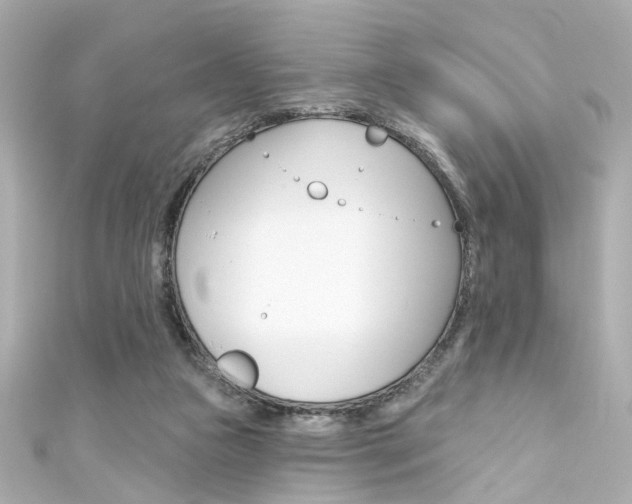 X0000111590161200907161200