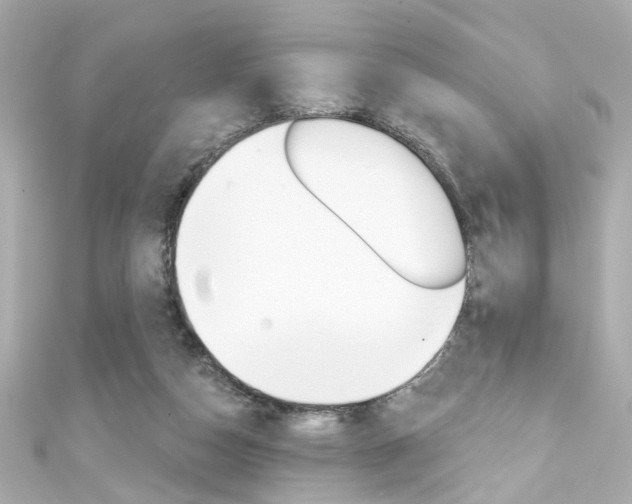 X0000111590162200907161200