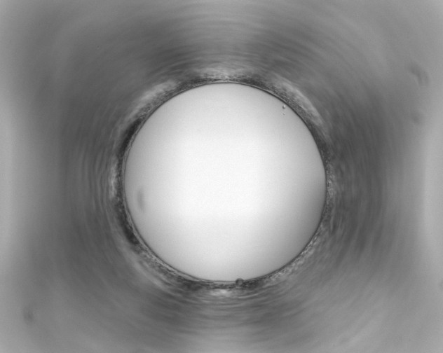 X0000111590163200907161200