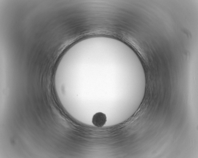 X0000111590164200907161200