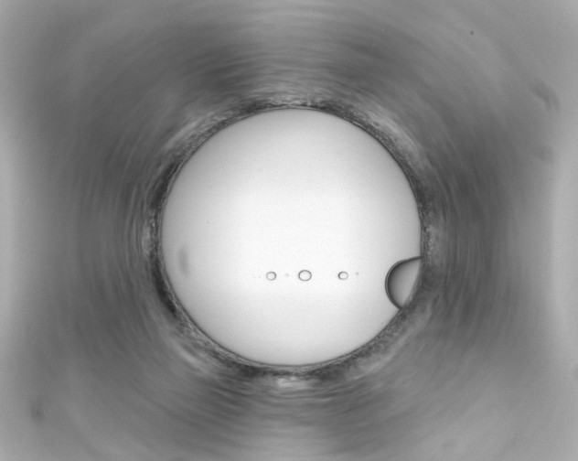 X0000111590165200907161200