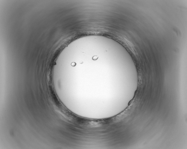 X0000111590166200907161200