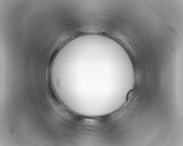 X0000111590167200907161200