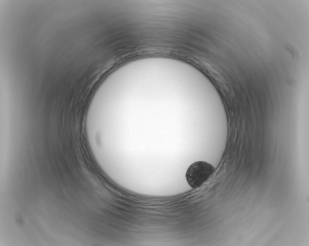 X0000111590168200907161200