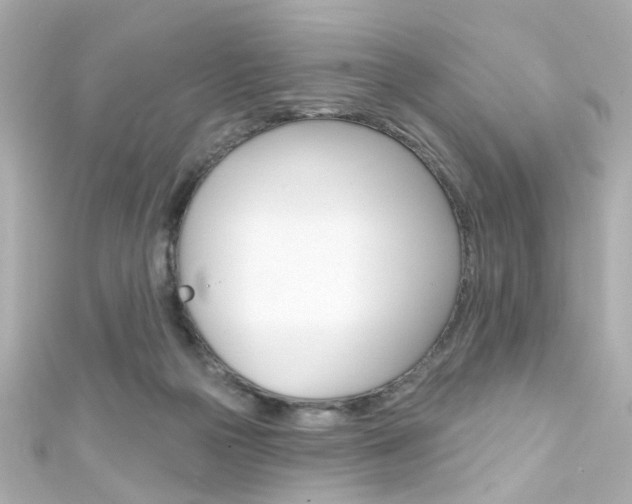 X0000111590169200907161200