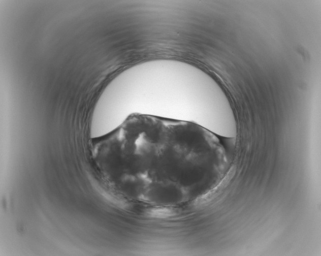 X0000111590171200907161200