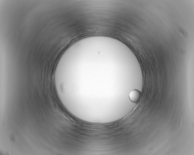 X0000111590172200907161200