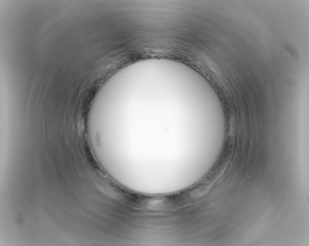 X0000111590173200907161200