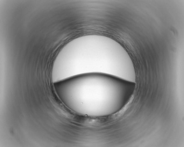 X0000111590174200907161200