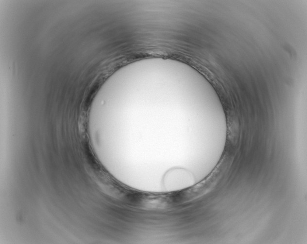 X0000111590175200907161200