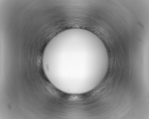 X0000111590177200907161200