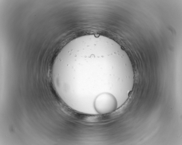 X0000111590178200907161200