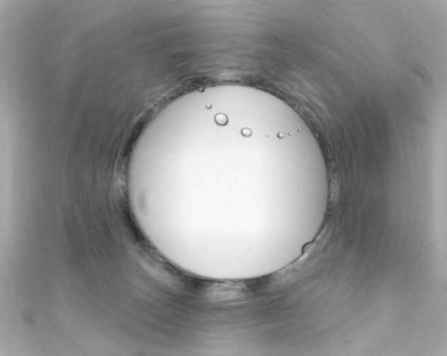 X0000111590179200907161200