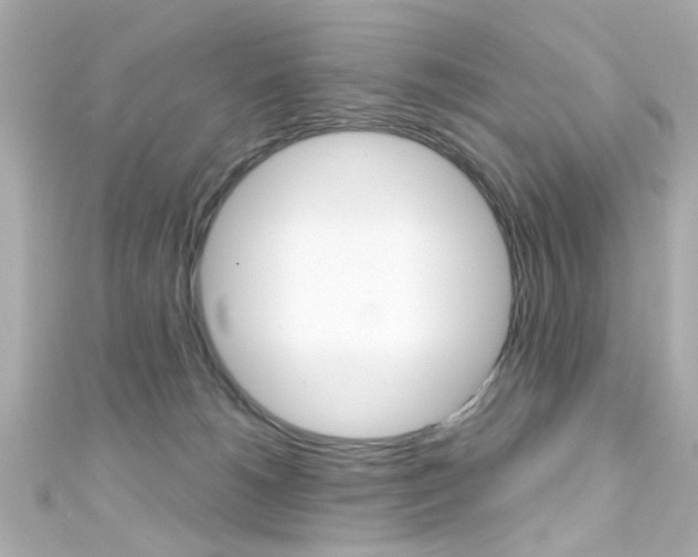 X0000111590180200907161200