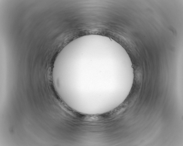 X0000111590181200907161200