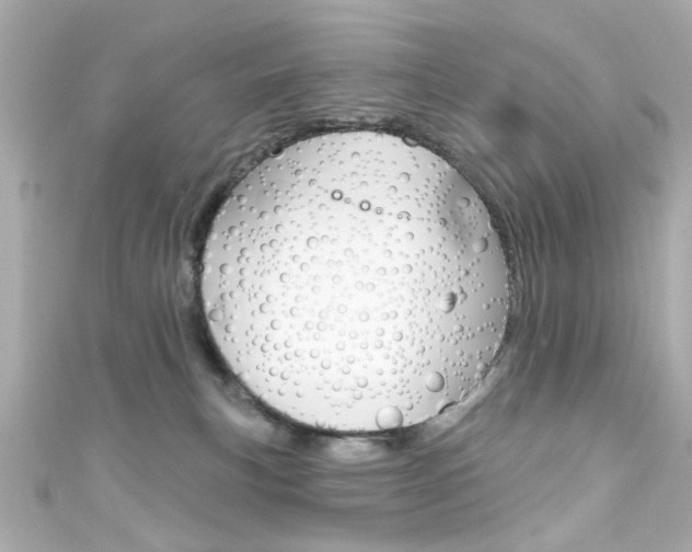 X0000111590183200907161200