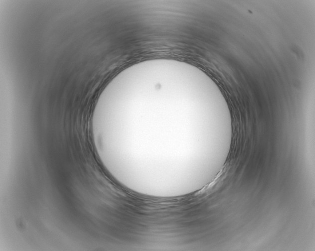 X0000111590184200907161200