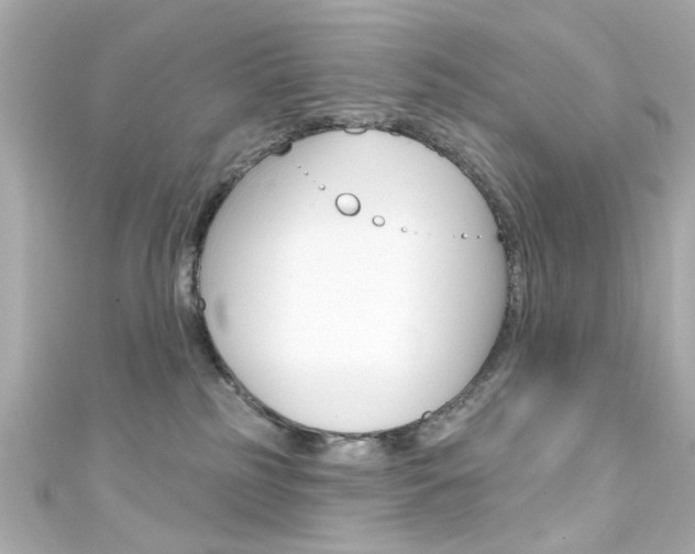 X0000111590185200907161200