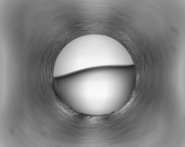 X0000111590186200907161200