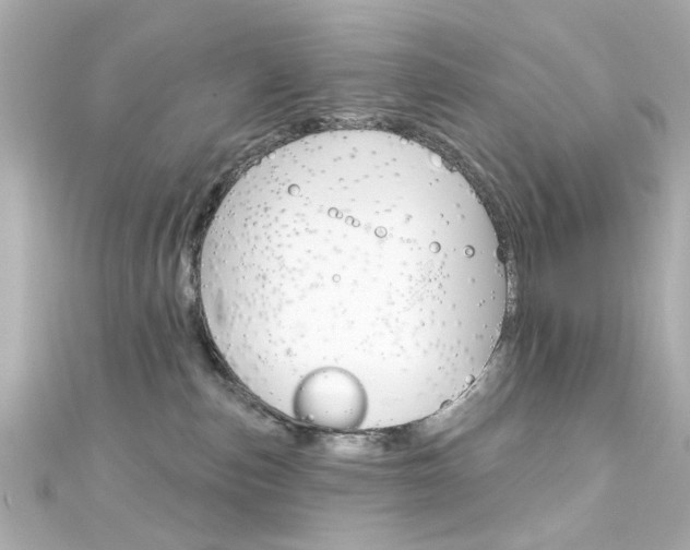 X0000111590187200907161201