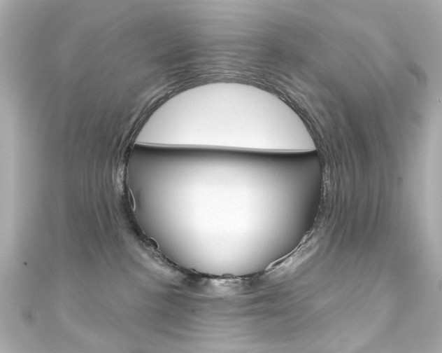 X0000111590188200907161201