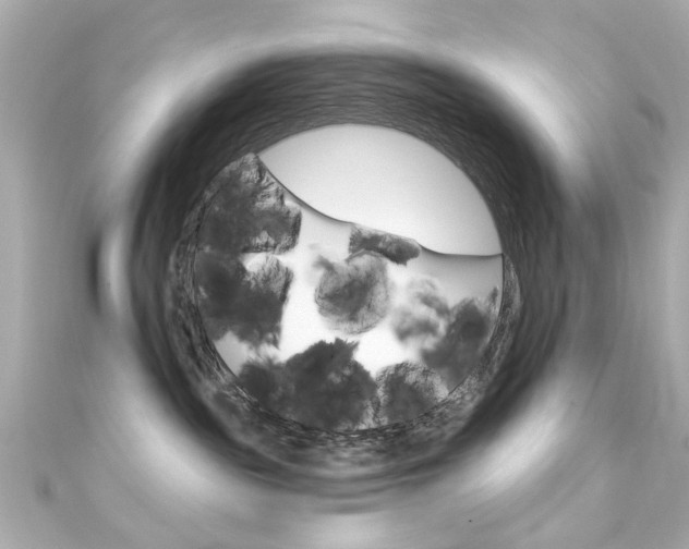 X0000111590189200907161201