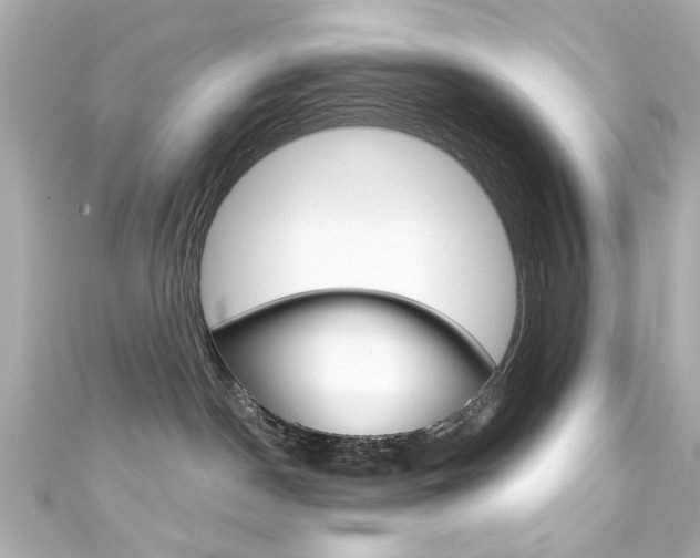 X0000111590190200907161201