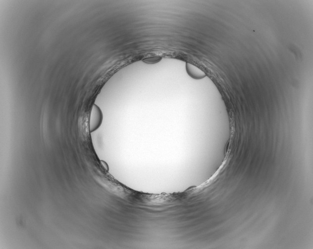 X0000111590191200907161201