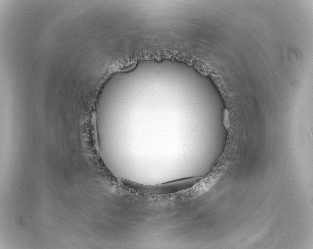 X0000111590192200907161201