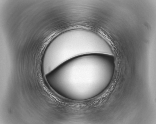 X0000111590193200907161200