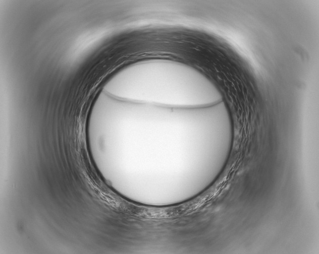 X0000111590194200907161200